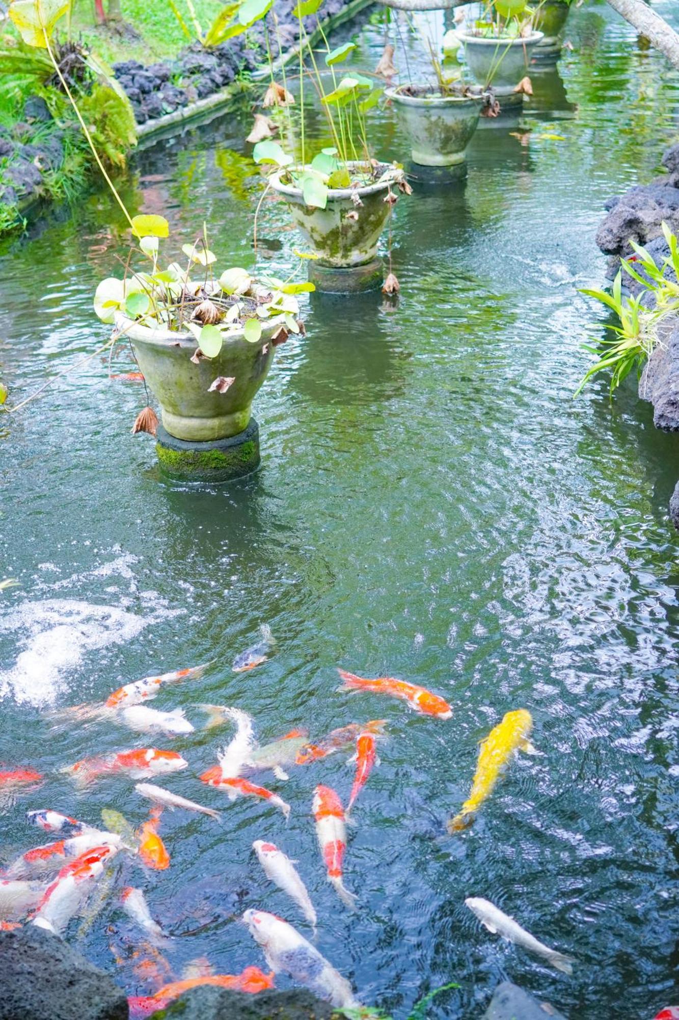 Bije Suite Villa Ubud Exterior foto